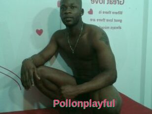 Pollonplayful
