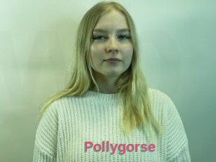 Pollygorse