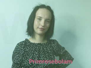 Primrosebolam