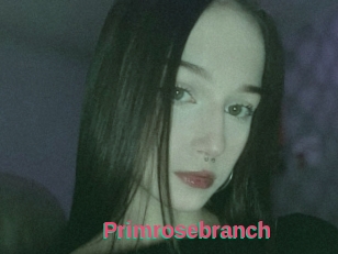 Primrosebranch