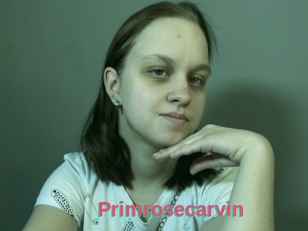 Primrosecarvin