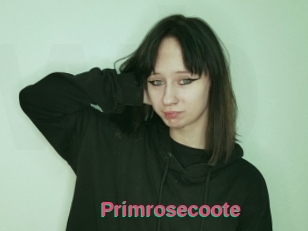 Primrosecoote