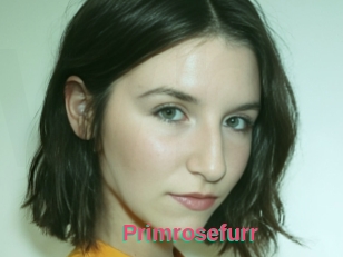 Primrosefurr