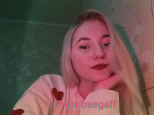 Primrosegaff
