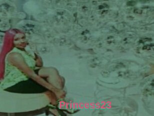Princess23