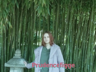 Prudencefigge