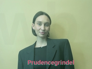 Prudencegrindel