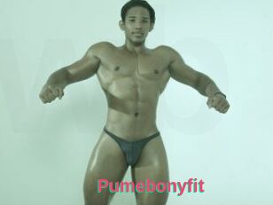 Pumebonyfit
