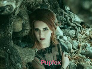 Pupfox