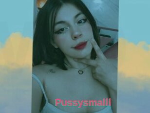 Pussysmalll