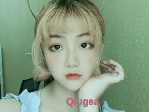 Qiugea