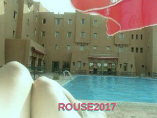 ROUSE2017