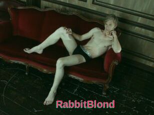 RabbitBlond