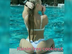 Raisin_free_cookiesX