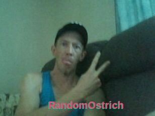 RandomOstrich