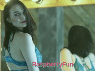 RaspberryFun