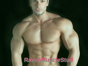 RavenMuscleStud