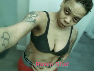 Raven_Stud