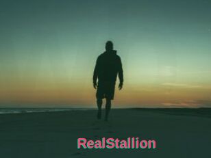 RealStallion