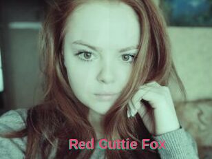Red_Cuttie_Fox