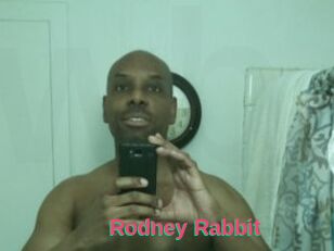 Rodney_Rabbit