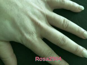 Rosa2904