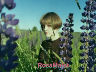 RosaMalet
