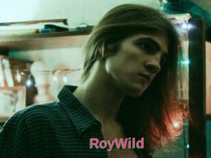 RoyWild