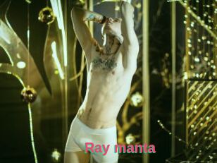 Ray_manta