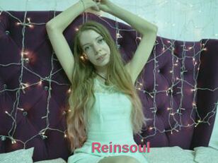 Reinsoul