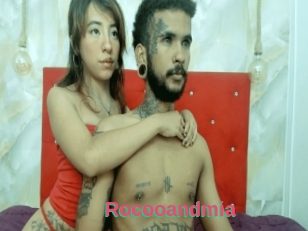 Rocooandmia