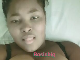 Rosisbig