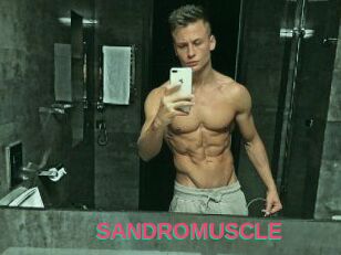SANDRO_MUSCLE
