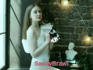 SandyBrawl