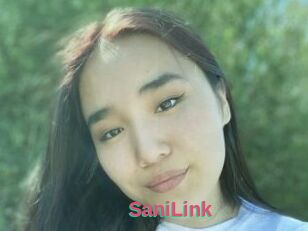 SaniLink
