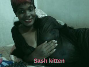 Sash_kitten