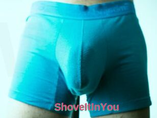 ShoveItInYou