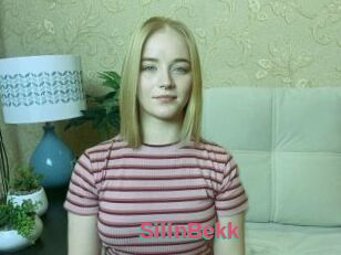 SilinBekk