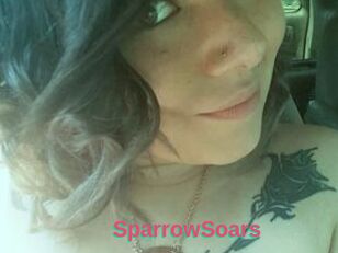 SparrowSoars