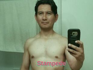 Stampede