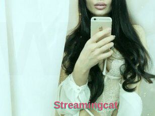 Streamingcat