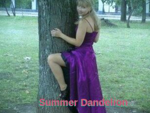 Summer_Dandelion