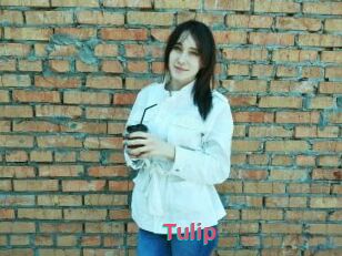 Tulip
