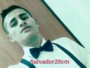 Salvador20cm