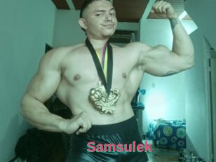 Samsulek