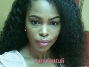 Sanelentuli