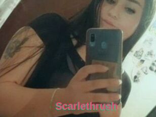 Scarlethrush