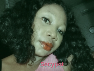Secypot