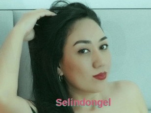 Selindongel