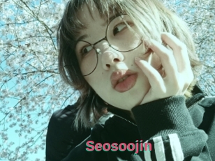 Seosoojin